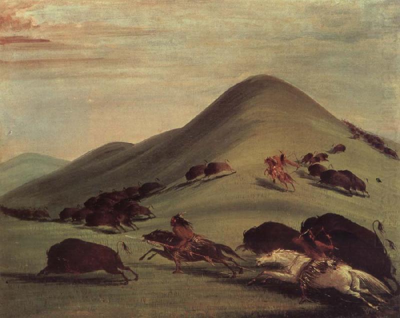 Buffalo Chase Over Prairie bark, George Catlin